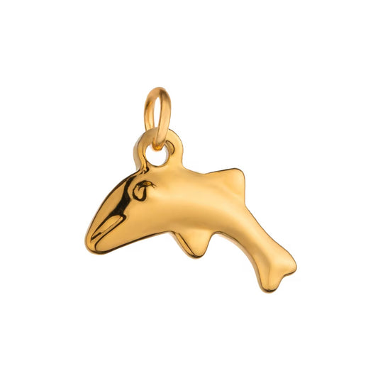 Dolphin Charm